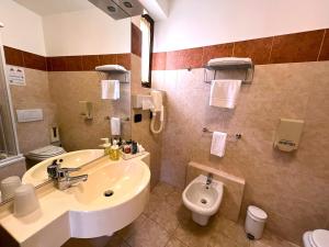 a bathroom with a sink and a toilet at Hotel Susa in Susa