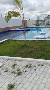 a palm tree in front of a swimming pool at Casa duplex em Parnaíba - casa73phb in Parnaíba