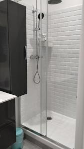 a shower with a glass door in a bathroom at Studio "La fleur de Lys" in Ault +9 photos