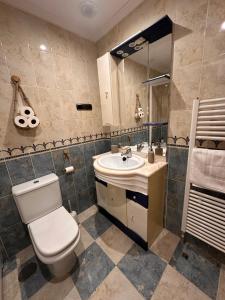 ein Badezimmer mit Toilette, Waschbecken und Spiegel in der Unterkunft Dúplex León Centro in León + 20 Fotos