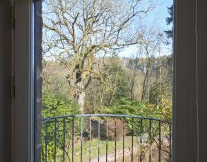 Black Barony Home Farm Cottage في إيدلستون: منظر شجرة من النافذة