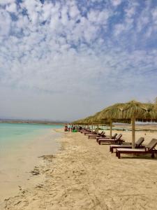 a row of chairs and straw umbrellas on a beach at Family Apartment in Marsa Alam 3 bed rooms in Marsa Alam City