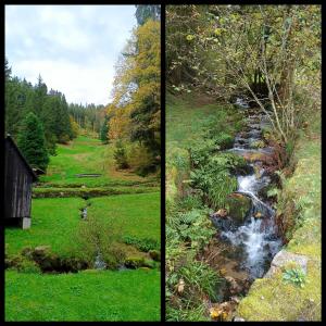 two pictures of a stream in a grassy field at Panoramablick Bermersbach in Forbach +9 photos
