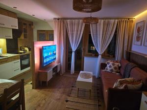 ein Wohnzimmer mit Couch und Flachbildfernseher in der Unterkunft Apartament Pienińska Sowa in Szczawnica