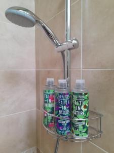 une étagère dans une salle de bains avec trois bouteilles de dentifrice dans l'établissement Birch Bothy, peaceful rural retreat, à Hexham