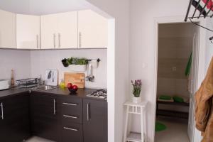 A kitchen or kitchenette at Lovag Apartman