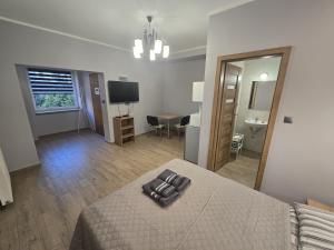 Televízia a/alebo spoločenská miestnosť v ubytovaní Apartamenty Pokoje DreamZone