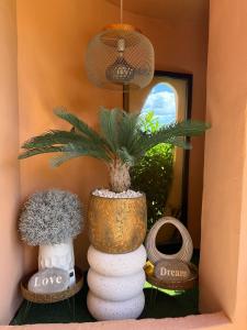 Fotografia z galérie ubytovania Casares Beach Golf Apartment With Private Garden Direct Pool Access v destinácii Casares