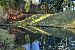 Naturlandschaft in der Nähe der Pension