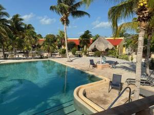 a swimming pool with palm trees and a house at Beachfront department Celestun in Celestún +23 photos