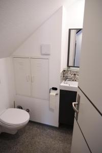 un bagno bianco con un water e un lavandino di Knusperhäuschen a Monschau Altre 59 foto