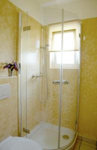 a bathroom with a shower with a glass door at Hotel Schaumburg in Bad Pyrmont