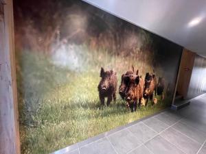 Zvířata v prázdninového domu nebo okolí