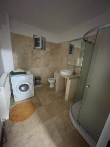 a small bathroom with a washing machine and a sink at Old Country Sight in Prejmer +18 photos