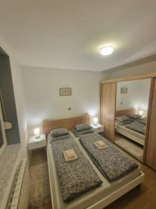 a bedroom with two beds and a large mirror at Vila Velebita in Vukovar