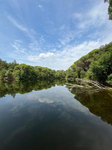 Gallery image of Castello in Lucignano