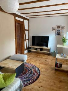 a living room with a couch and a television at Modernes Apartment in historischem Gebäude in Horb am Neckar