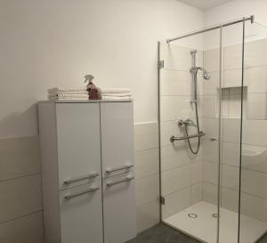 a bathroom with a shower with a glass door at Ferienwohnung am Schlosspark in Altmünster +6 photos
