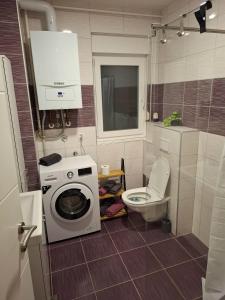 Ένα μπάνιο στο Apartman Roko