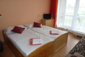 トレボンにあるApartment Relax-idealのベッドルーム1室(赤い枕が付いた大型ベッド1台付)