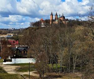 a castle on top of a hill with trees at Zajazd Rybaki in Płock
