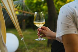a person holding a glass of white wine at Vrelo Glamping in Mandići