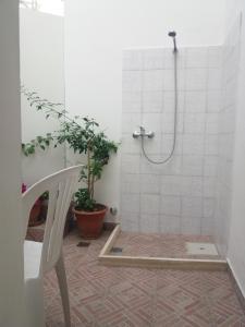 a bathroom with a shower with a chair and a plant at M & G - Casa Vacanze in Santa Maria al Bagno +14 photos