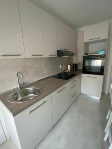 Kuchyň nebo kuchyňský kout v ubytování Apartman Centar