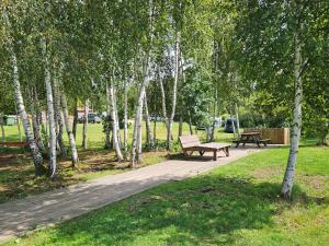 Gallery image of Domki PRZY LEŚNICZÓWCE in Wiele