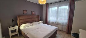 a bedroom with a large bed and a window at Maris Apartment in Târgu-Mureş