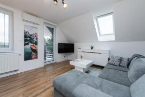a living room with a couch and a tv at ALAVIA Residence in Veľká Lomnica