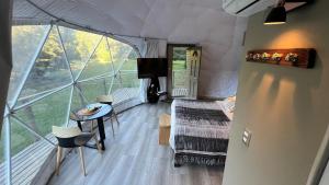 Billede fra billedgalleriet på Domo Refugio i Villarrica + 26 billeder