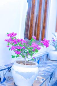 Fotografie z fotogalerie ubytování Reheboth Hotel v destinaci Trincomalee