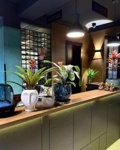 a kitchen with potted plants on a counter at Vila 90 Boutique Hotel in Tirana