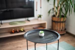 TV a/nebo společenská místnost v ubytování Nagymaros Apartman