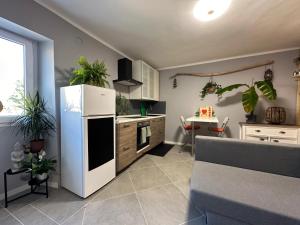 a kitchen with a white refrigerator and some plants at Lucia's Wood House in Intra
