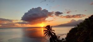 a sunset over the ocean with a palm tree at Maui Homestay Vue Océan Exceptionnelle & Baleines en Saison in Tohautu
