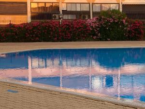 a swimming pool with water fountains in front of flowers at Absolu chic naturiste in Cap d'Agde +14 photos