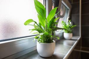Fotografie z fotogalerie ubytování Apartment Max v Záhřebu