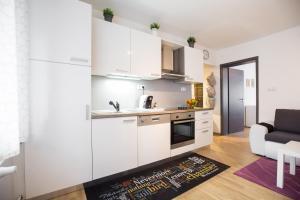 Kuchyň nebo kuchyňský kout v ubytování Apartment Max
