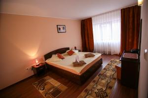 een hotelkamer met een bed en een raam bij Hotel Ciric in Iaşi