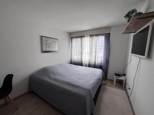 a bedroom with a bed and a flat screen tv at Zentrale 1-Zimmer-Wohnung Marzili Bern in Bern