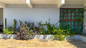 a bunch of flowers in front of a building at Casa Boutique Sabu in Oaxaca City