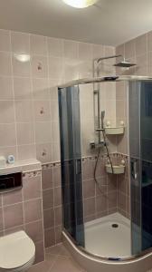 un baño con ducha y WC en Apartament Błękitny, en Krynica Morska