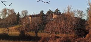 a house on top of a hill with trees at Süzà Tourist Apartment relax, nature and comfort in Cassago Brianza
