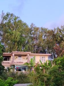 Taman di luar Henz and Sia Guesthouse