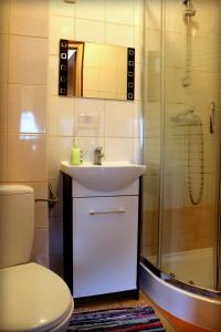 ルブリンにあるWilla Uroczaのバスルーム(トイレ、洗面台、シャワー付)