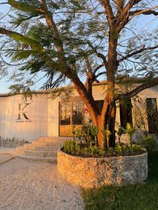 a building with a tree in front of it at Hotel Kocai Izamal in Izamal +7 photos