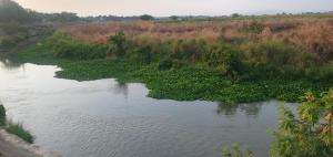 Φωτογραφία από το άλμπουμ του Mango fram resort σε Palayan +13 φωτογραφίες