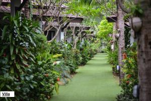Ein Garten an der Unterkunft Phangan Bayshore Resort Koh Phangan